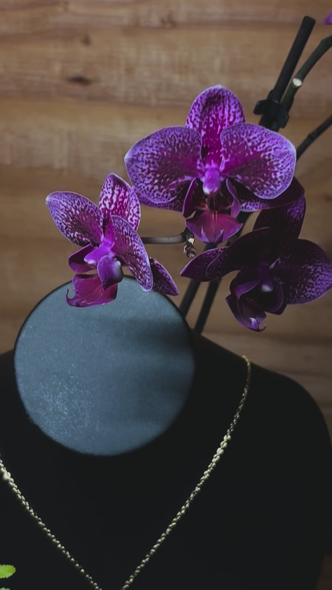 Eternal Orchid Necklace in Medium Purple